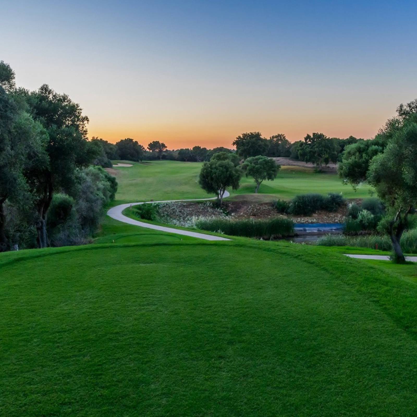 Fairplay 15 1960X1280