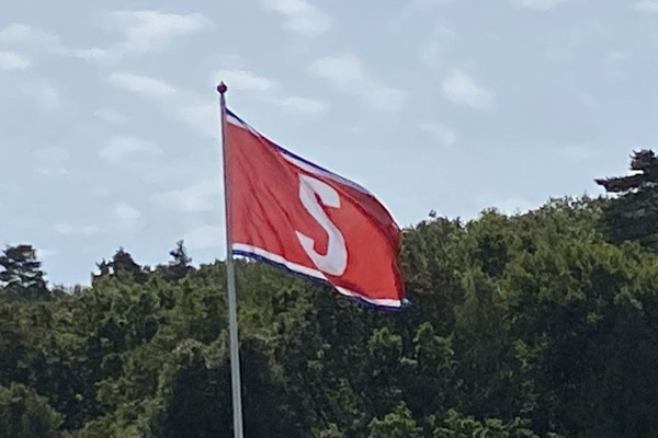 Var med & sponsra damernas verksamhet